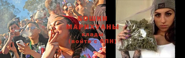 прущие крисы Горняк