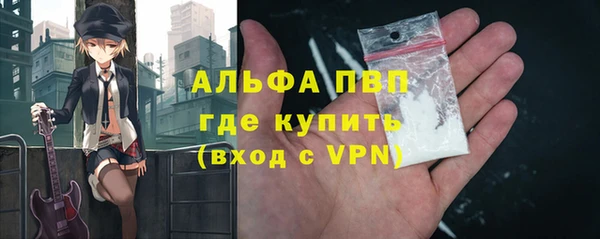 прущие крисы Горняк