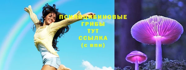 прущие крисы Горняк
