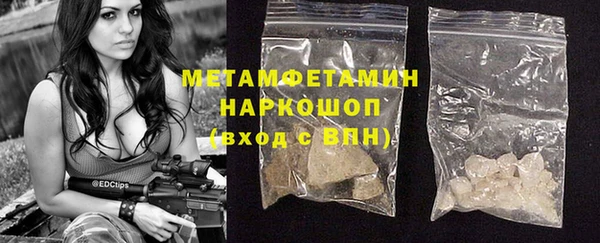 прущие крисы Горняк