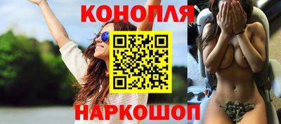 прущие крисы Пугачёв