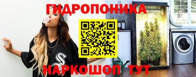 прущие крисы Пугачёв
