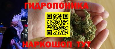 прущие крисы Пугачёв