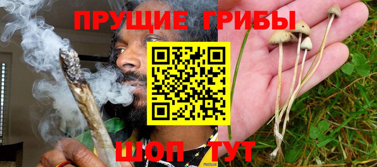 Галлюциногенные грибы Psilocybe  Псилоцибиновые грибы Psilocybe  купить наркотики цена  Симферополь  Вход с VPN 